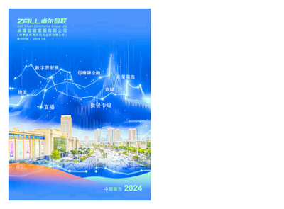 卓尔智联中期报告2024