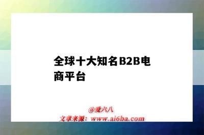 全球十大知名B2B电商平台(国内最大的B2B电商平台)